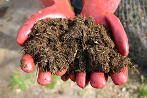 Hours Fertilizers (Manure)